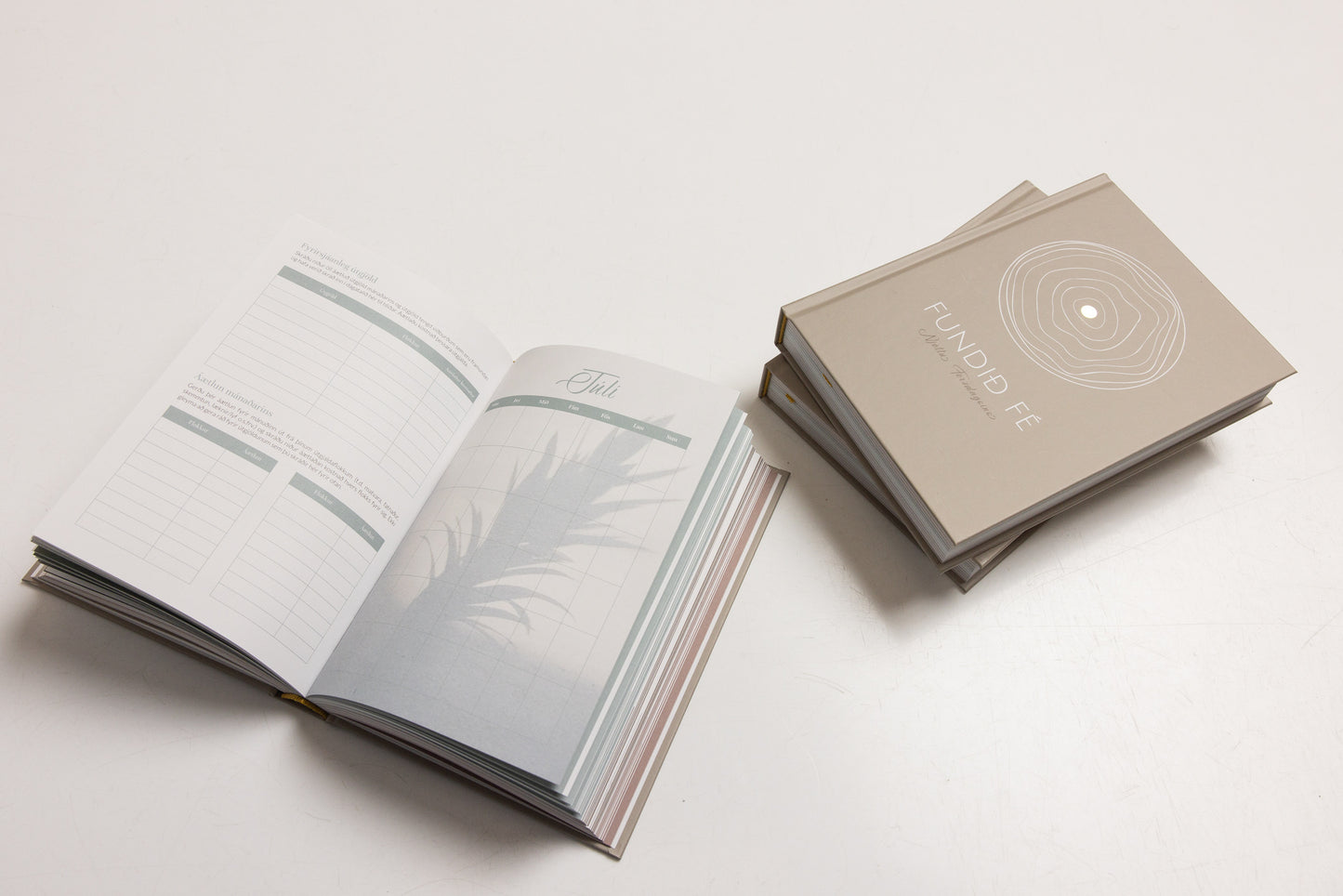 Fundið fé, njóttu ferðalagsins - Uppfærð útgáfa