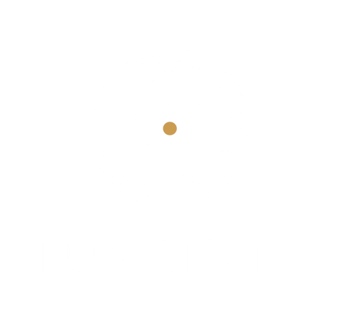 Fundið fé